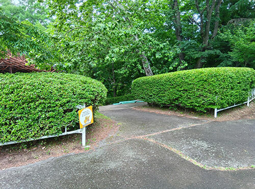 ③250625141404161.jpg