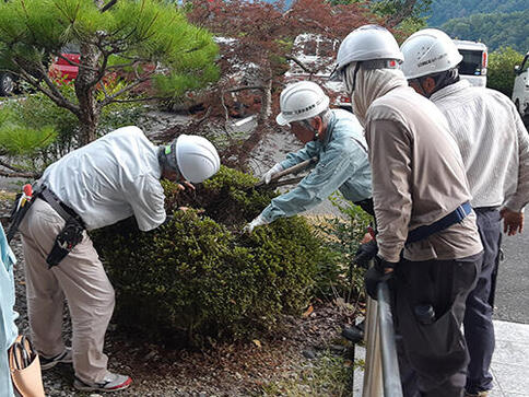庭木剪定講習（阿南町）が開催されました