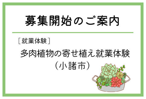「多肉植物の寄せ植え就業体験」（小諸市）の募集が始まりました