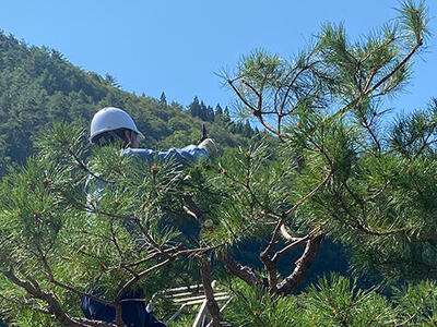 木曽町にて庭木剪定講習が開催されました