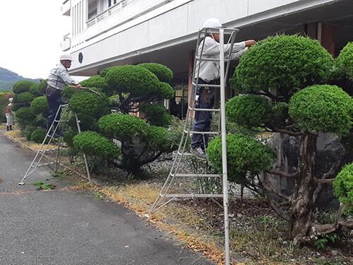 r5ananniwaki11.jpg