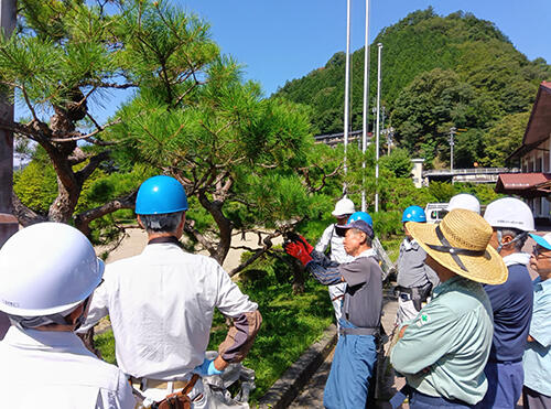 r7kisoniwaki02.jpg