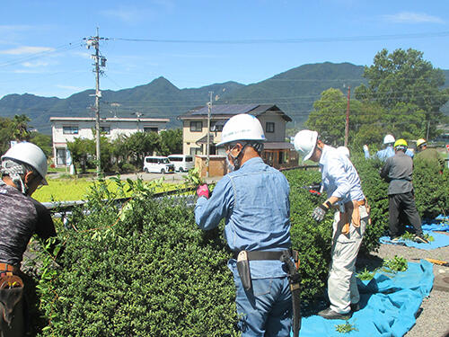 r8uedaniwaki07.jpg